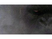 Kong Skull Island dévoile travers nouvelle bande-annonce