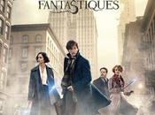 Avis Ciné magie opère avec Animaux Fantastiques