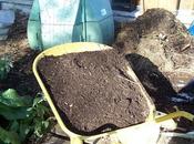 L'importance compost mulch pour belles récoltes