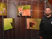 [Podcast #42] Photographier huppe fasciée avec Daniel Saltzmann