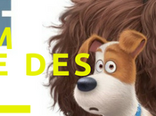 #Concours- copies film d'animation Comme Bêtes!