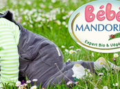 cuisiner collectivite