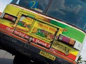 c'était mieux là-bas livre Lionel Cieciura