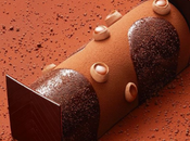 Gourmandise/Food bûche Chocolat Tonka Yann Couvreur
