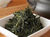 Sencha cultivar Ômune Morokozawa