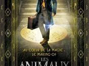 coeur magie making animaux Fantastiques cadeau parfait pour Noël