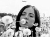 Céline Escouteloup travers (2015)