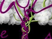 Bonne année 2017 avec sourire