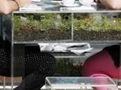 GREEN FurniBloom, verte dans meubles!