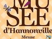 plantes médicinales l’histoire