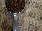 Rencontre avec David Biauche Xavier Marfan Factorerie