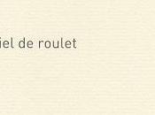 Terminal terrestre, Daniel Roulet