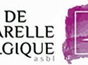 prochain Salon d’aquarelle Belgique tiendra Namur 2018