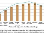 ÉTAT SANTÉ Français problème santé chronique, surpoids IRDES- DREES