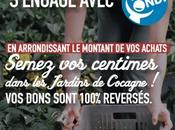 Semez centimes chez Naturalia pour faire pousser jardins solidaires