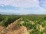 Moulin Roque Appellation Bandol Contrôlée