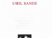 (Note lecture) Emmanuel Laugier, "L'Oeil bande", Antoine Emaz