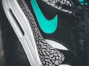 Atmos Nike “Elephant” Premium Retro 2017