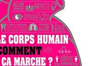 corps humain clairement expliqué