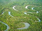 forêt tropical située afrique, asie, amérique centrale, dans certaines parties l’océanie.