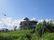loger l’est Bali Gumi coeur rizières