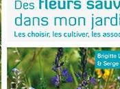 fleurs sauvages dans jardin