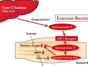 OBÉSITÉ, DIABÈTE Pourquoi l'exercice tout monde mêmes effets Nature Medicine