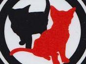 Cabinet bleu Marine #antifa