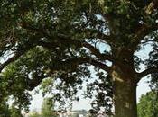 Kinuu hamac passe partout s’installe quelques secondes