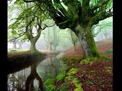 Divers belles photos