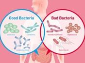 MICROBIOTE INTESTINAL protéine veille équilibre Nature Immunology