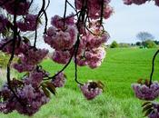 force d'être caressé dans sens poil