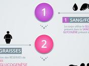 Jeûner trois jours renouvelle totalement système immunitaire