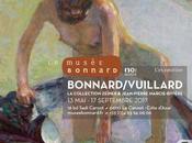 Bonnard/Vuillard collection Zeïneb Jean-Pierre Marice-Rivière