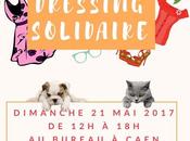 Vide dressing solidaire faveur Cabourg