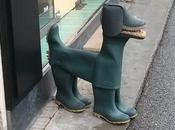 bottes chien