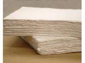 Maroc protection commerciale rente