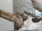 Galerie PERROTIN Paris exposition ZHEN Civilization Iteration ZACH HARRIS Purple Cloud jusqu’au Juillet 2017