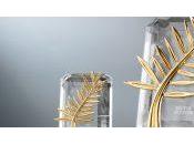 [Cannes 2017] dernière journée l’accrédité moment faire palmarès (jour