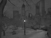 Insomniaque, photographie Central Park seul dans nuit
