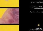 Galerie exposition LUMIERES Yoshimi ODAWARA Juin 2017