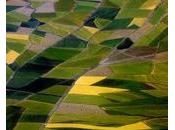 Afrique incohérences réforme agraire