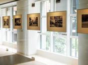 Julian Lennon expos Japon #julianlennon #japan #tokyo