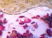 Glace kulfi pistache glace rose