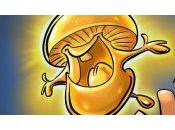 Shakes Fidget Champignon d’or 000€