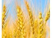 subventions agricoles affamé Kenya