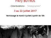 Galerie CAPITALE exposition Fikry BOTROS Déambulations 3/22 Juillet 2017