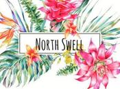 North swell