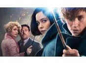 Animaux Fantastiques dévoile alors tournage commence