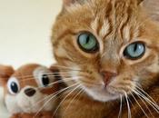 Europavox 2017 Soirée rock dépens censure Lamomali